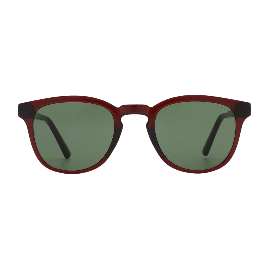 Brown Transparent Bate Sunglasses