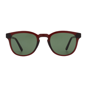 Brown Transparent Bate Sunglasses